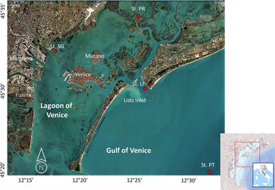 Differences and similarities in the phytoplankton communities of two coupled transitional and marine ecosystems (the Lagoon of Venice and the Gulf of Venice - Northern Adriatic Sea)